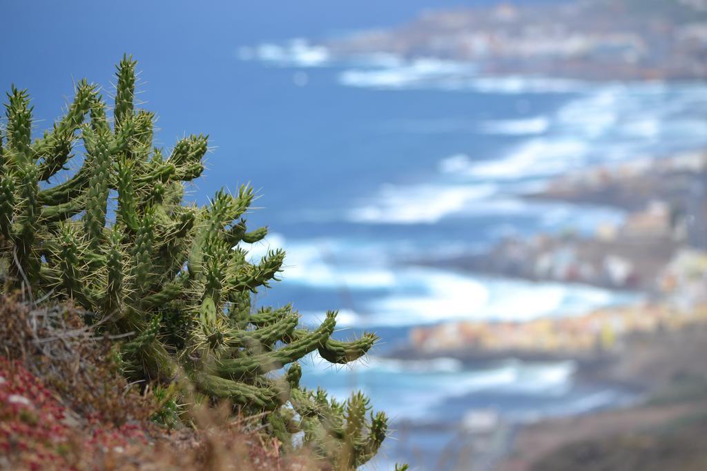 Mirador Del Gallego Santa Maria de Guia de Gran Canaria Rum bild